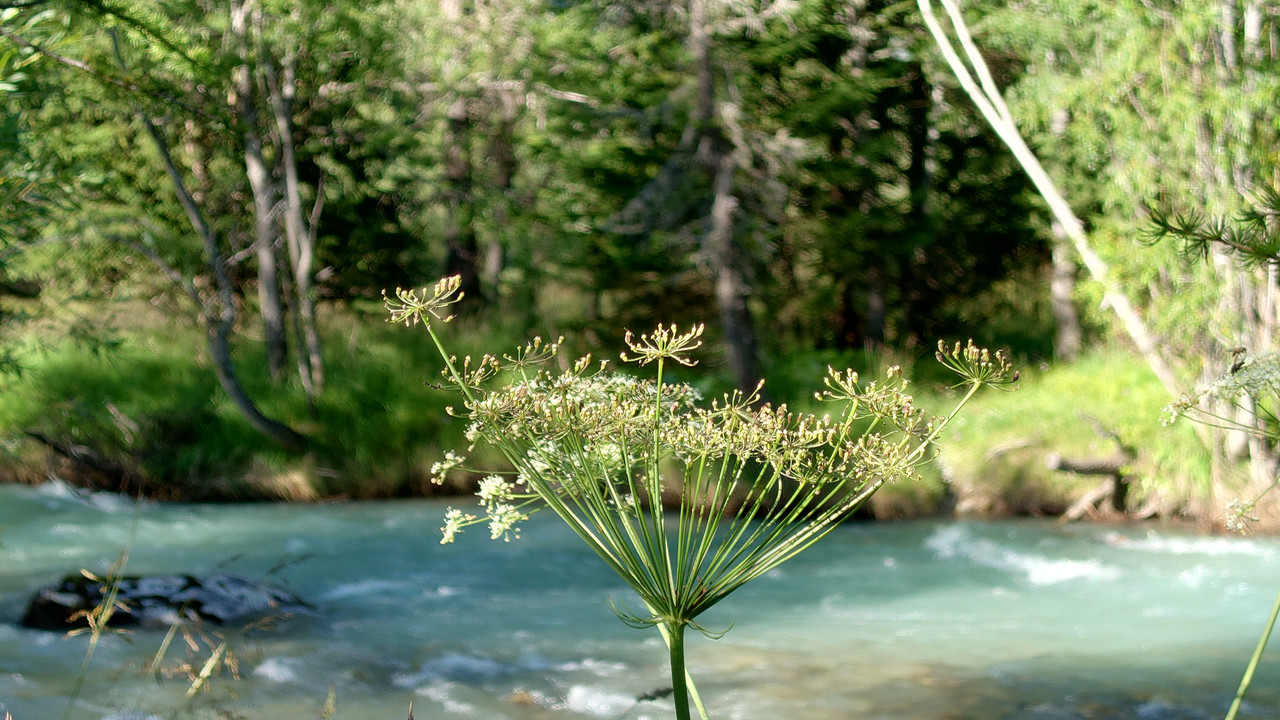 20210808-180421.jpg