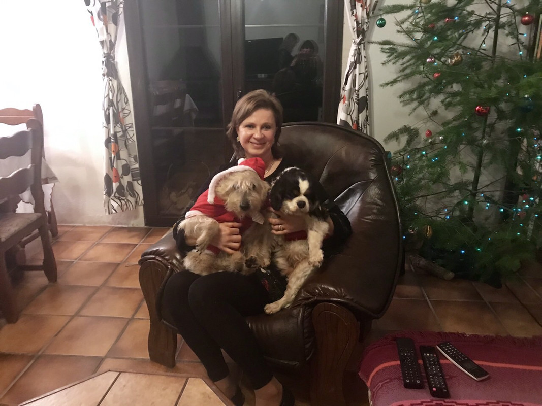 DE69CBC3-C9C7-4E9C-998B-4593C97B9BC1