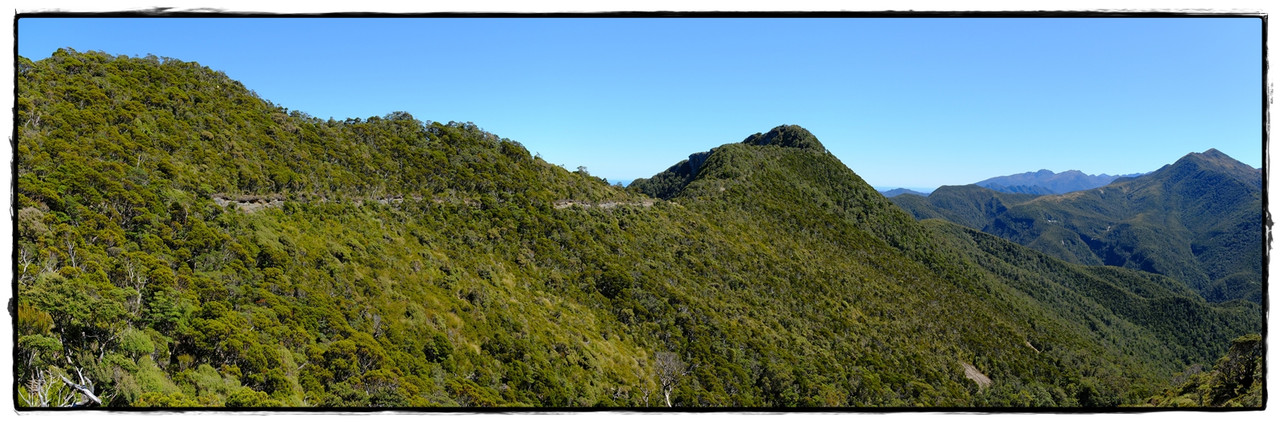 Paparoa NP: Paparoa Track (diciembre 2024) - Escapadas y rutas por la Nueva Zelanda menos conocida (31)