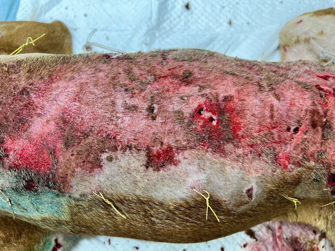 91EA9927-8AC5-4766-A609-5A0D20503184