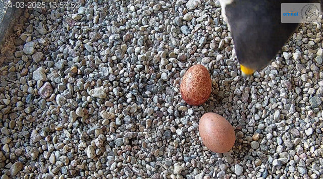 Przechwytywanie w trybie pełnoekranowym 24.03.2025 134759