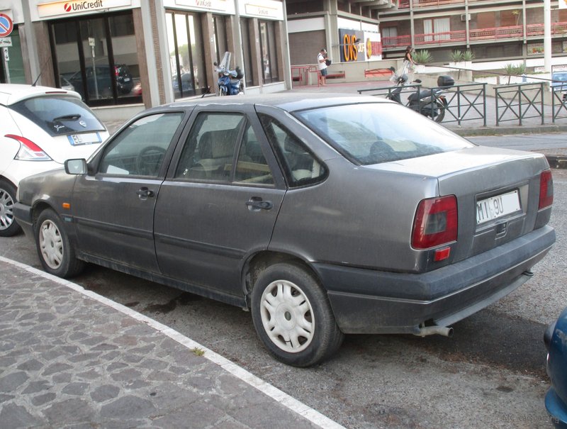 IMG-7454.jpg