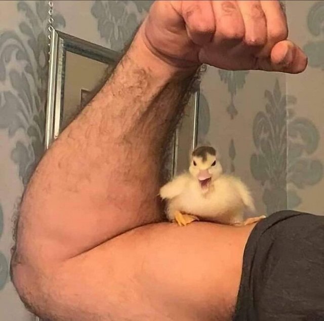 toughchiccomeatmebro.jpg