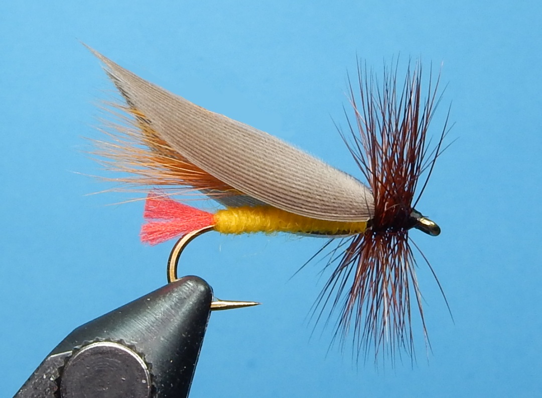 Halladay_Hopper_1080.jpg