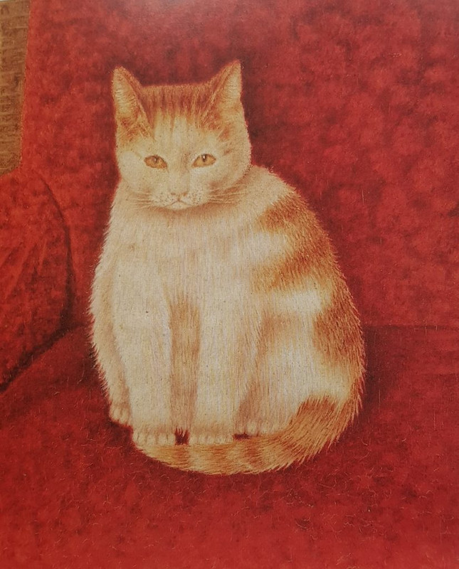 08-Tabby-Cat-on-Red-Sal-Meijer-825x1024