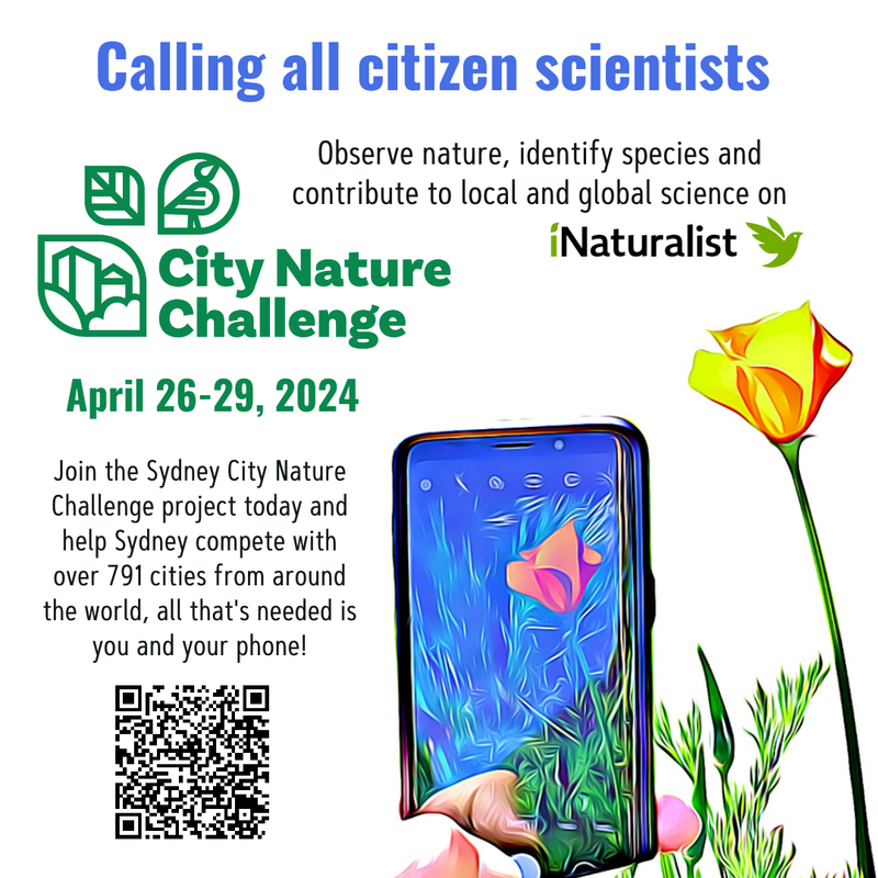 City Nature Challenge