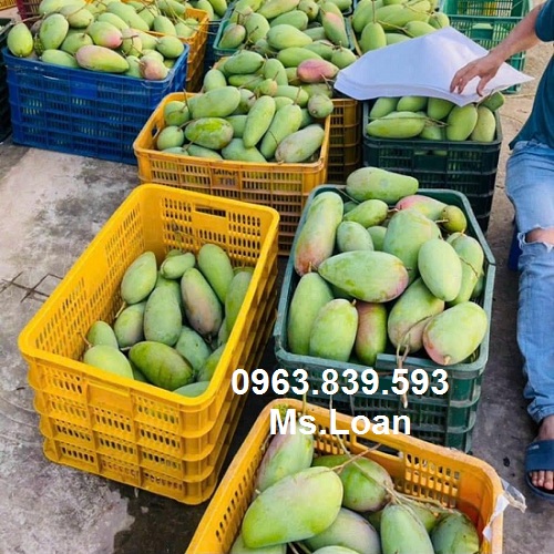 ro-trai-cay-dung-hang-cong-nghiep.jpg