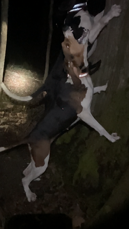 68D6D017-80B2-490E-BE6F-0F328A928A63