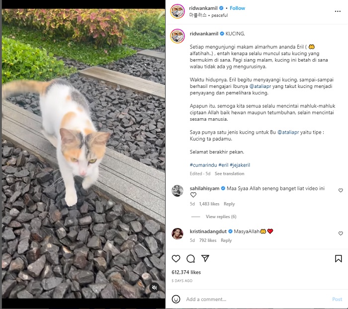 Melalui unggahan Instagram, Ridwan Kamil mengungkap sosok seekor kucing yang selalu hadir setiap ia mengunjungi makam Eril.