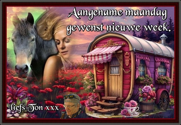 www.krabbelplaatjes.com