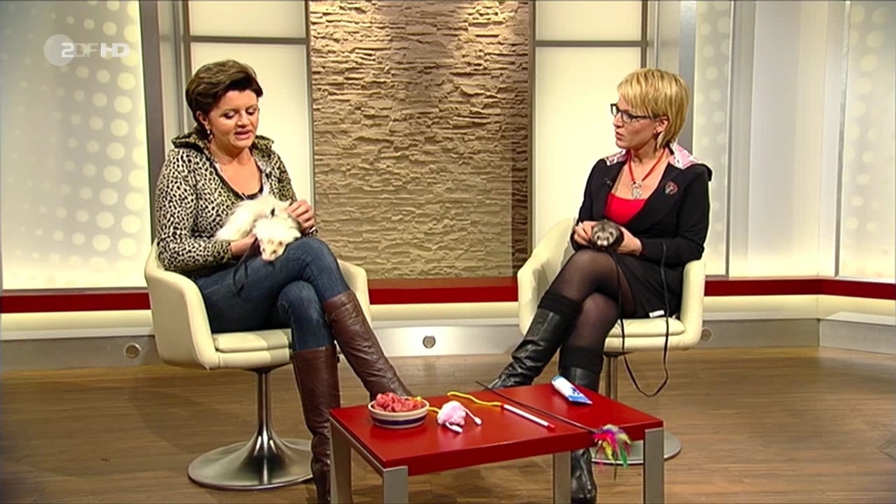 Andrea Ballschuh @ "Volle Kanne" am 29.01.2013 - Bilder - Papa Pauls  TV-Moderatorinnen Forum