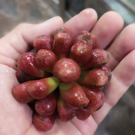 569764588 3203324403162591 1258171998962818625 n