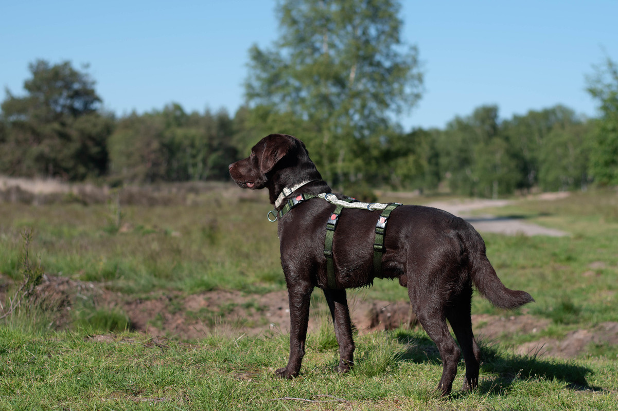 01704109-0255-4C54-A70B-6F0488FB8742