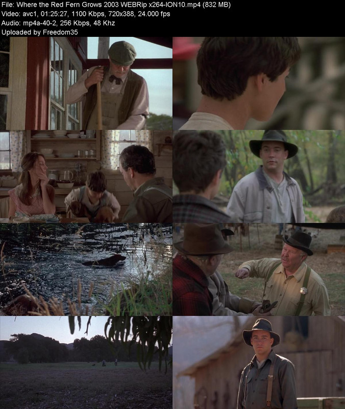 Where-the-Red-Fern-Grows-2003-WEBRip-x26