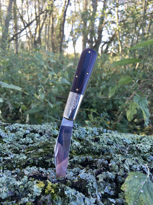 4F2D9815-A1C1-4F1B-BC13-E984AFC9E8B1