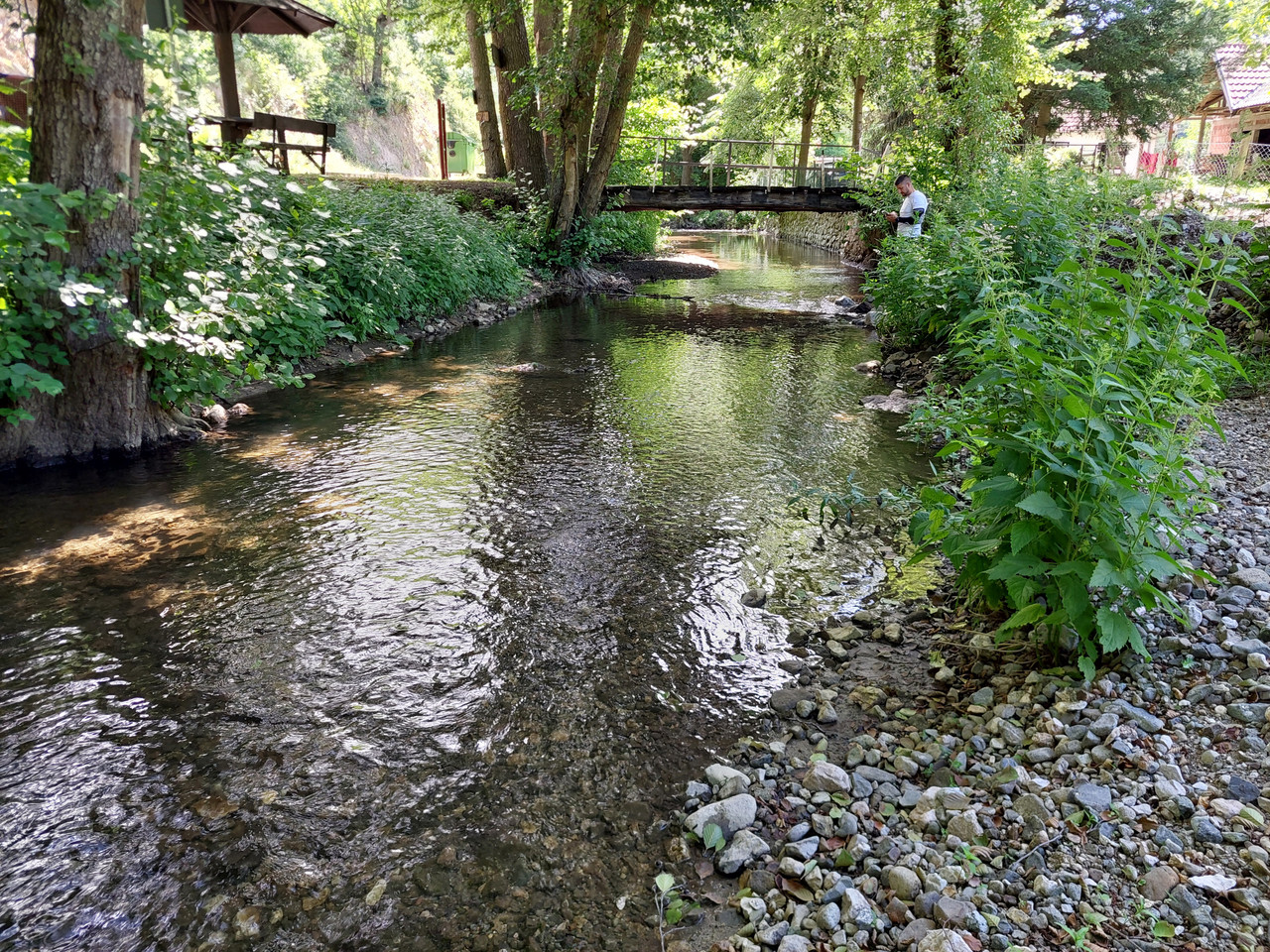 20260614-105547.jpg