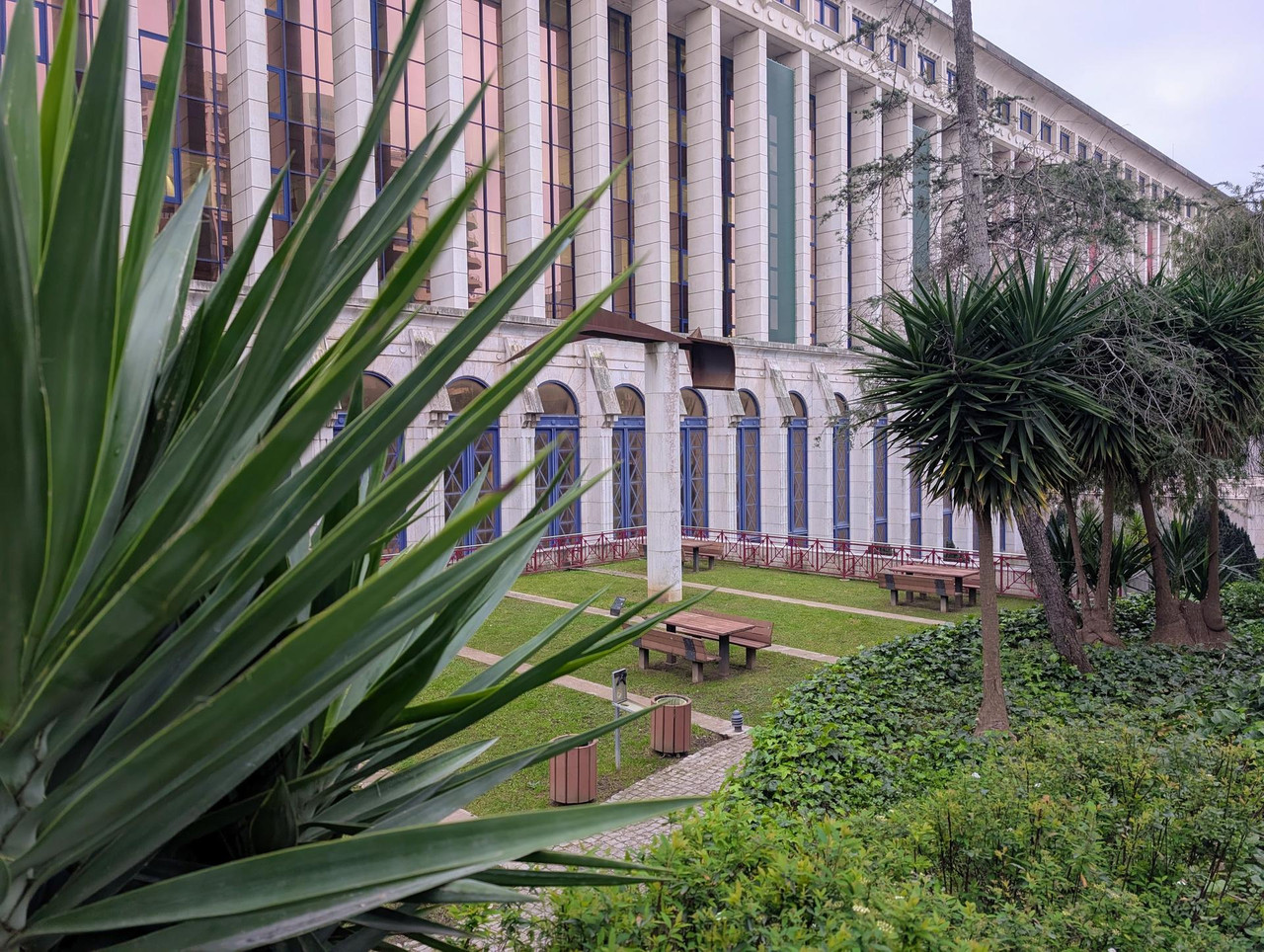 PXL 20260303 073353189 MP 2