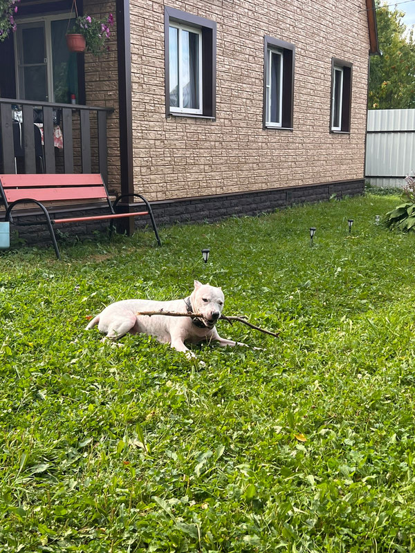 63E2CBE6-C7B5-4CBE-B13C-289017BD3174