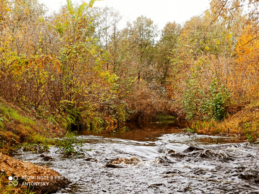 IMG_20211002_191212_927