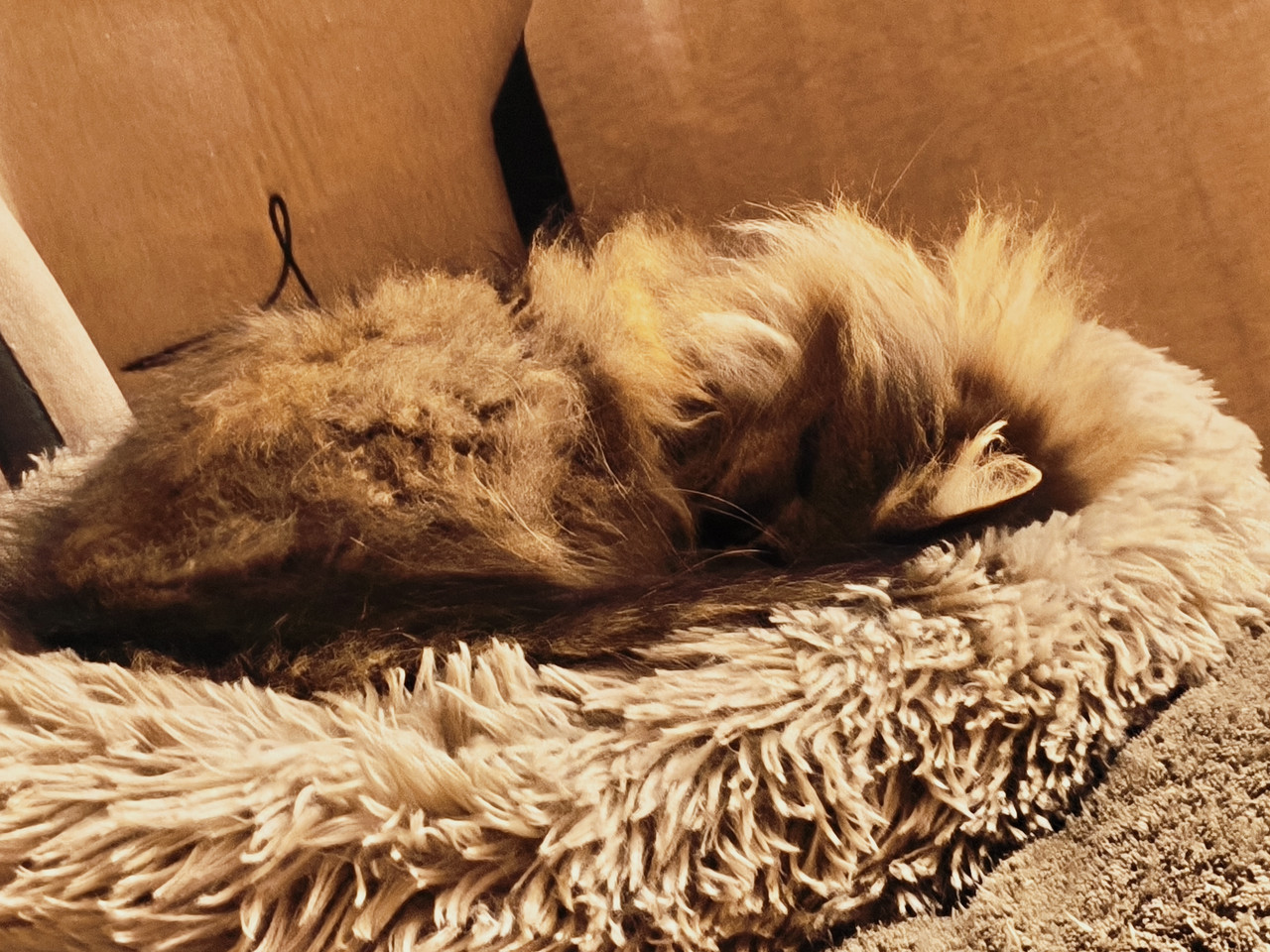 MVIMG 20260205 072205