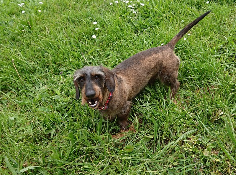 [Image: 20240425-171746.jpg]