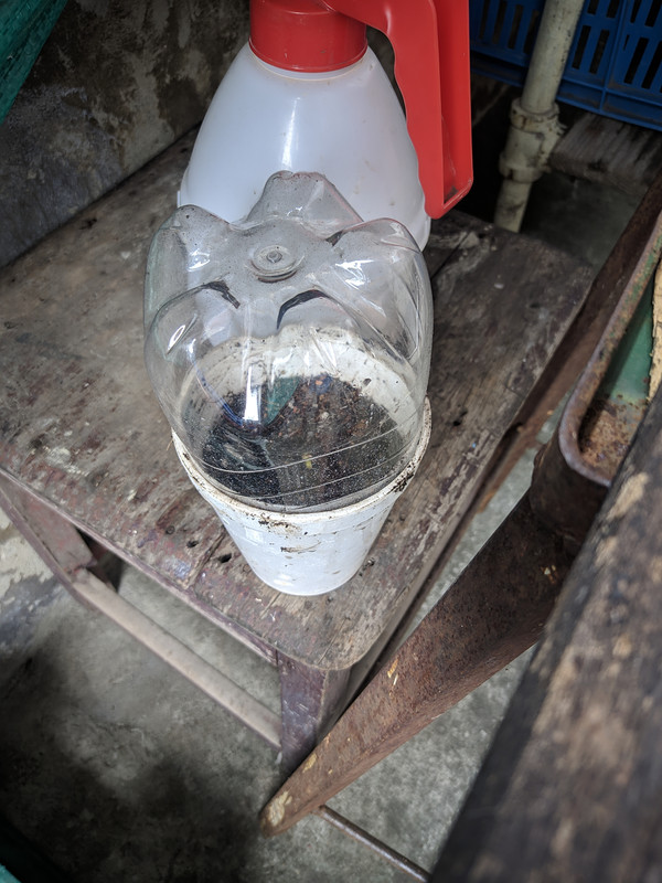 HC_20221120_101728_null