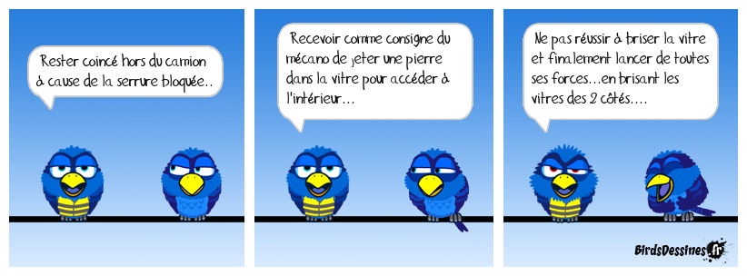 [JEUDI] - Les Birds - Page 10 2024-05-02-b-01