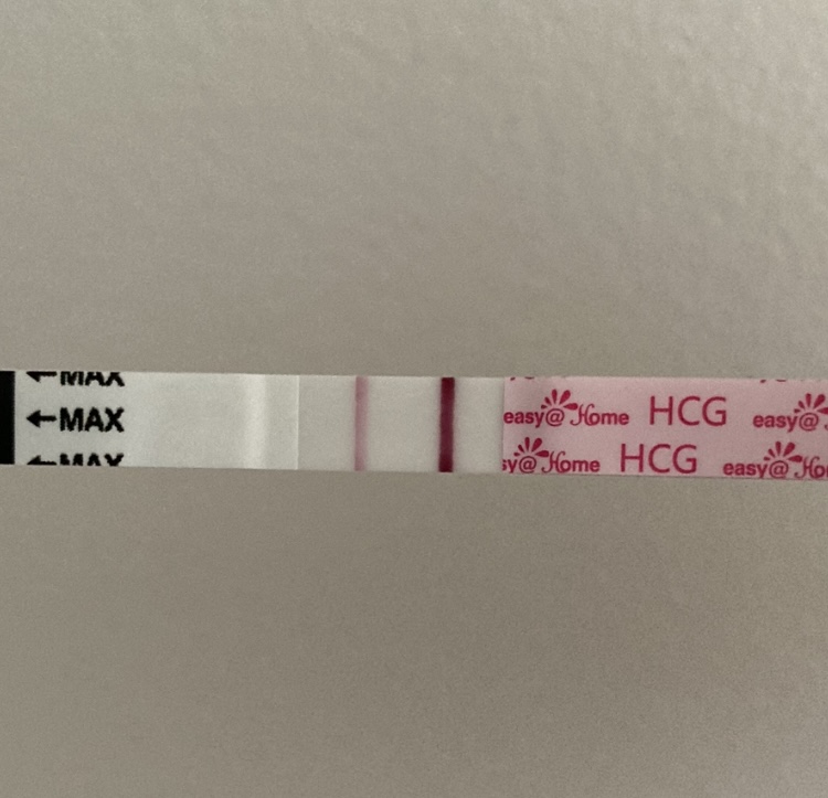 86889F23-92CC-4898-B84C-A601FA2594BD