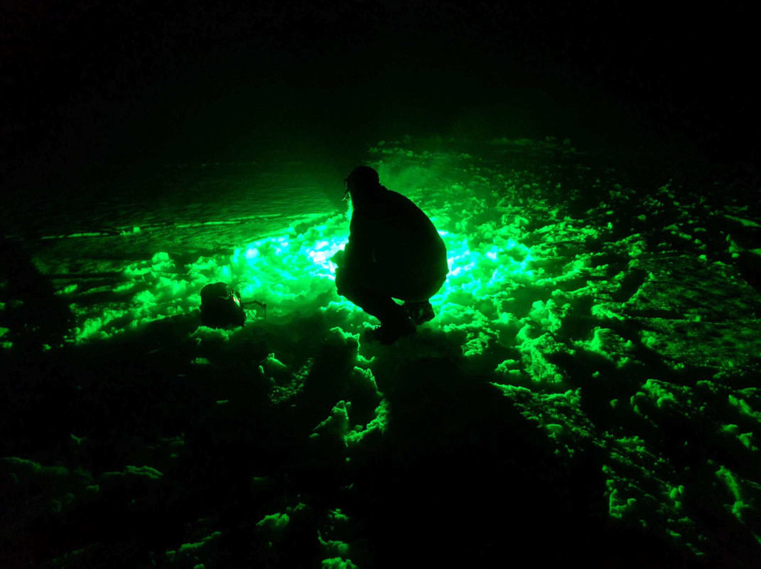 7437C421-3689-411B-A8DA-7FCDCF5F3182