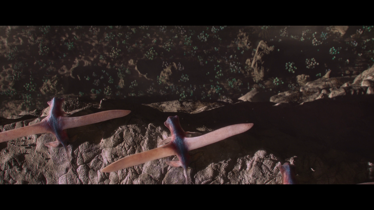 vlcsnap-2024-02-01-15h52m15s072