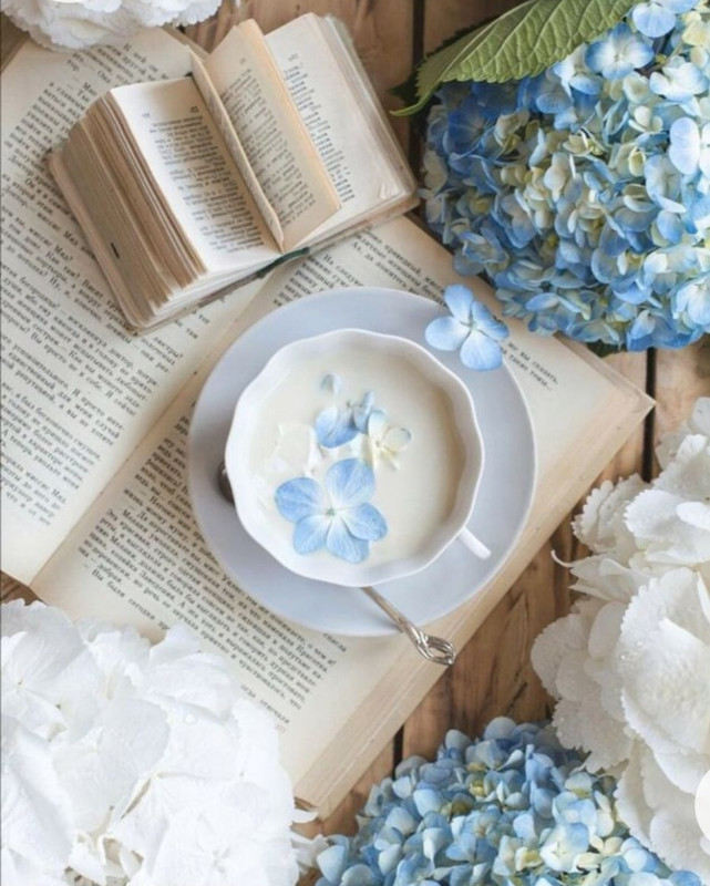 Screenshot_20230211_145738_Chrome