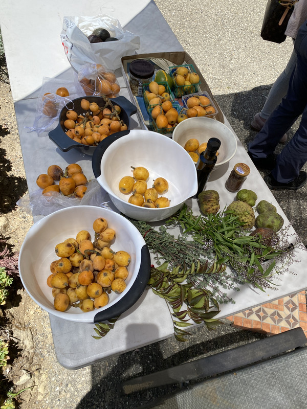 9D776142-67B1-41AD-86AC-F6B6B8A590B5