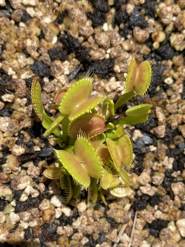 7CE35E28-F292-4E6F-B378-568D6E26D1CC