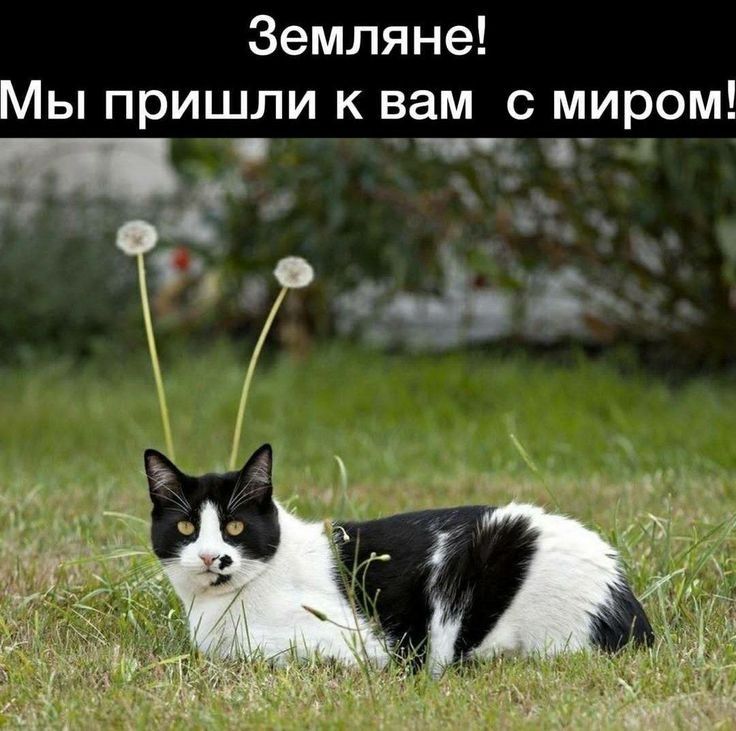 48d9abbc5539bf3bd68235cff5efc008.jpg