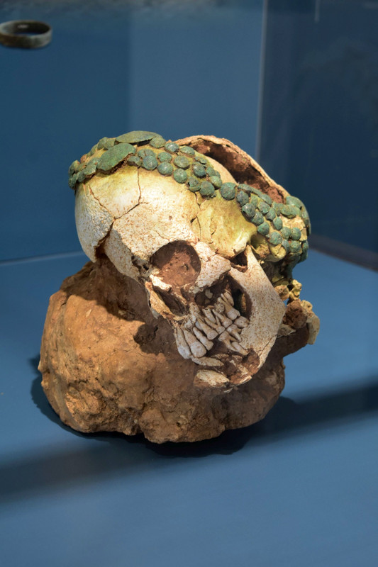 Αρχαιολογικό μουσείο Δίον