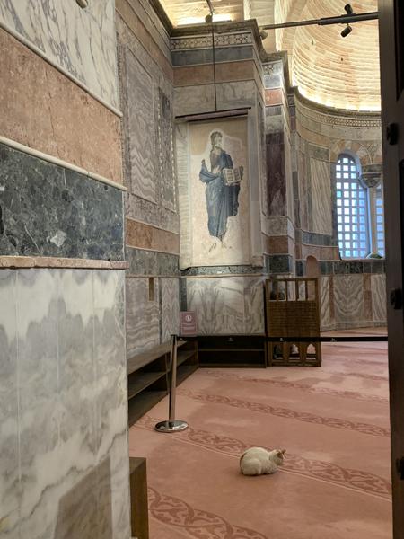 Estambul: Primera estancia - Un poco de Turquía en Navidad de 2025: Estambul y Capadocia bajo la nieve (13)