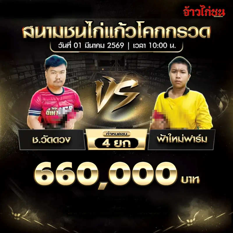 โปรแกรมไก่ชน แก้วโคกกรวด 1 มีนาคม 2569 : ชวัดดง vs ฟ้าใหม่ฟาร์ม ชิง 660,000 บาท