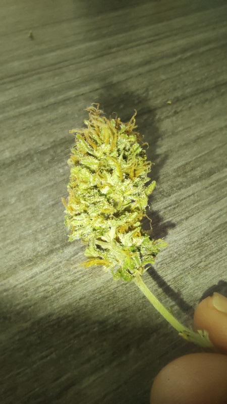 IMG_20230919_100600_1