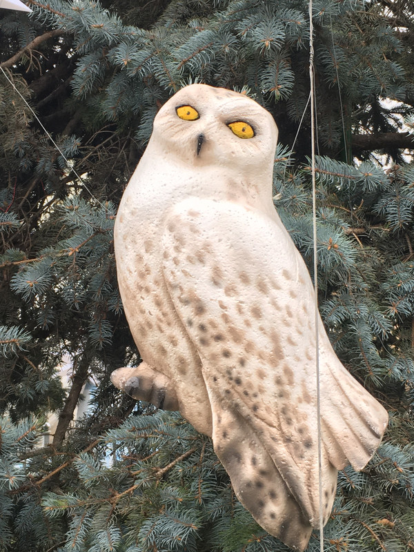 96FC5470-6A50-421B-9EE1-A8C855976CD9