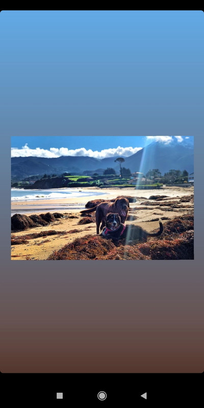 Screenshot_2021-01-06-22-08-29-041_com.instagram.android