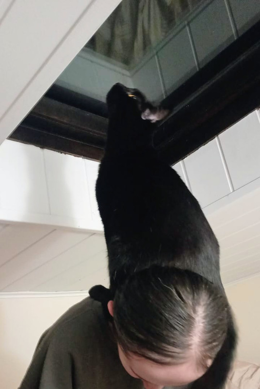 IMG-20251009-WA0002~2