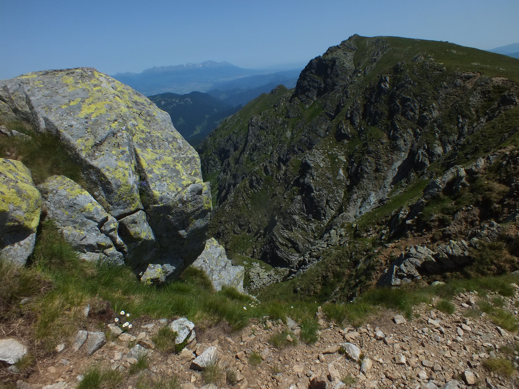 2019_0630DUMBIER0087