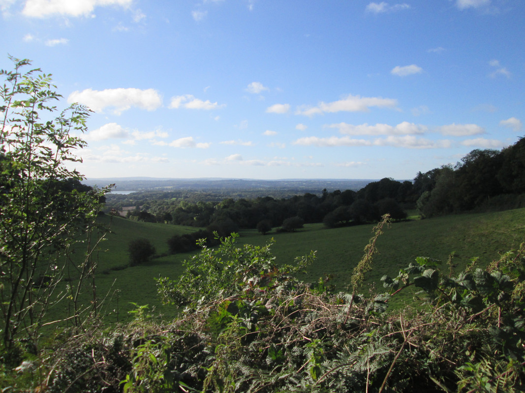 IMG 3218 — Postimages