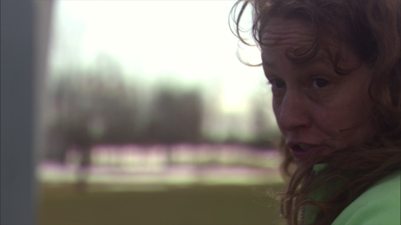 Frozen River (2008) (1080p BluRay x265 Silence)-1