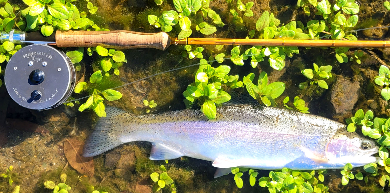 Resized_20231125_133843 (1)