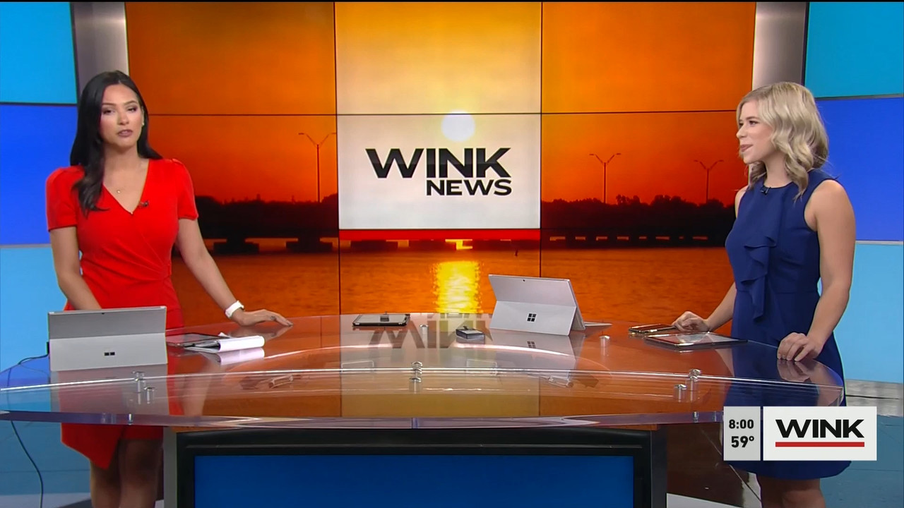 01.31 - 11.00.00 - WINK News @ 6 00AM Sunday. Local news, sports and ....ts_snapshot_01.59.563