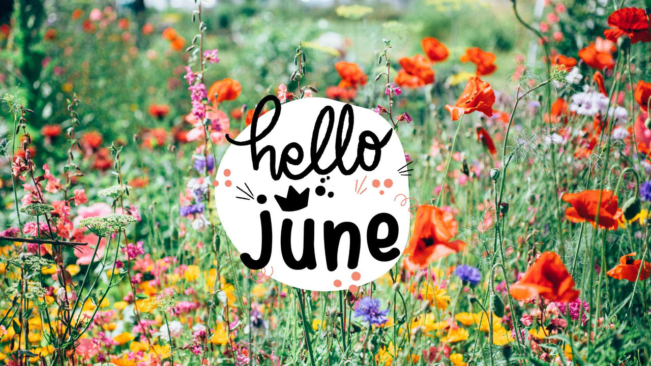 June_Hello_flowers