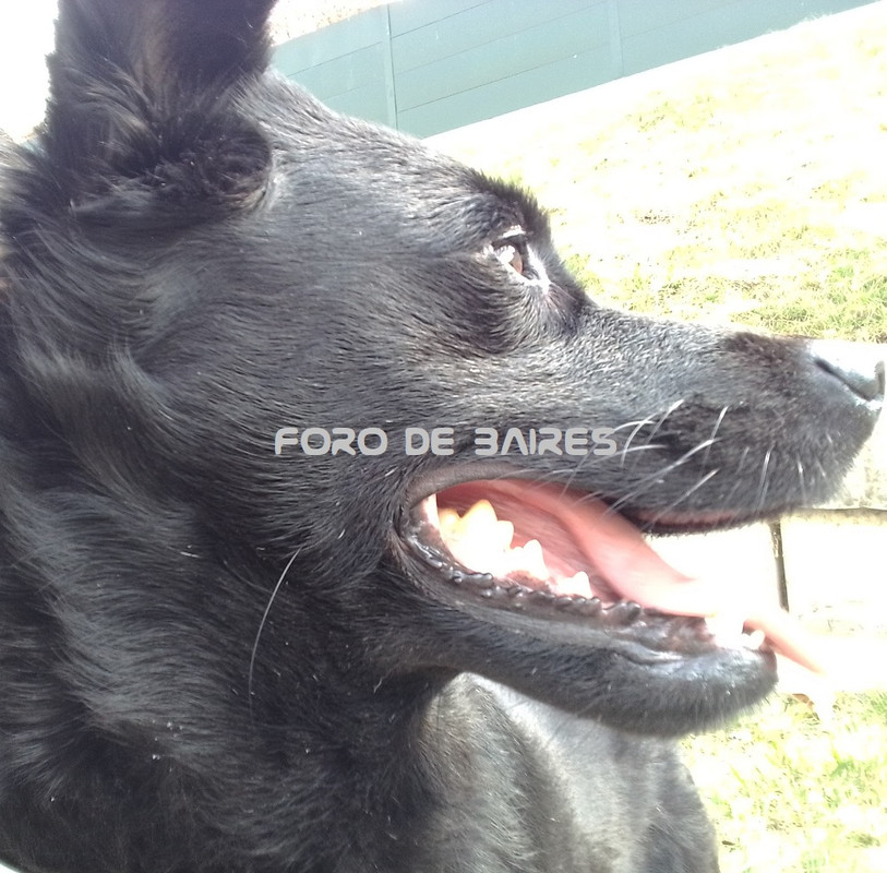 fotojuana94