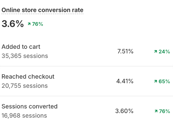 Campaign Performance