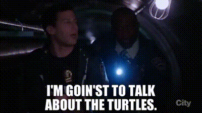 ae37c6a5-b4b3-4f87-86e6-f3c4a2f8c5da-text.gif